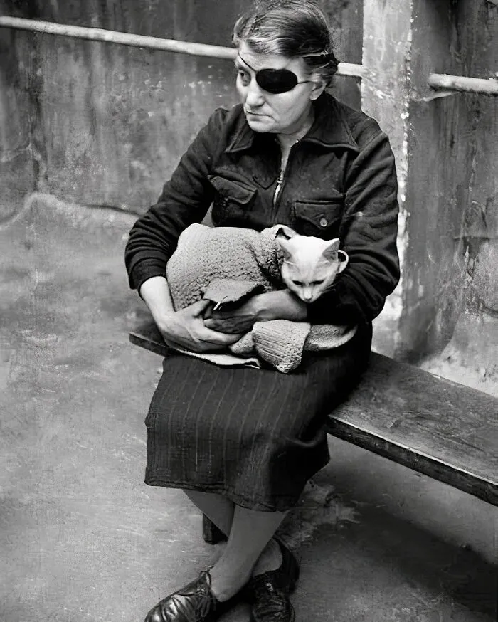 30 Vintage Photos Of Cats Posing With Famous People And Interesting Personalities (New Pics)
