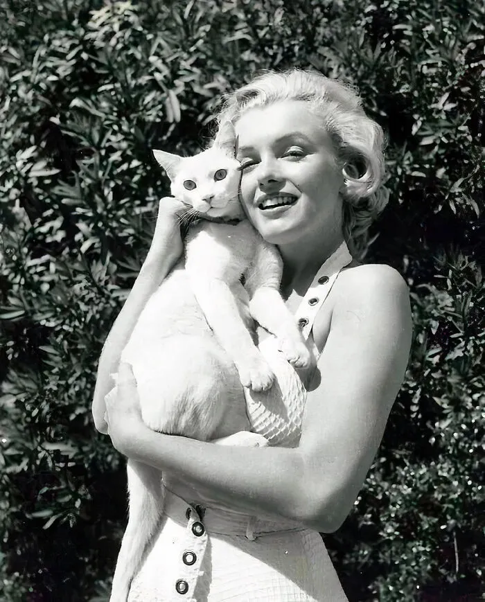 30 Vintage Photos Of Cats Posing With Famous People And Interesting Personalities (New Pics)
