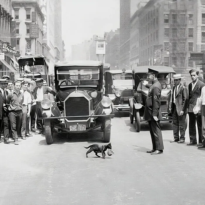 30 Vintage Photos Of Cats Posing With Famous People And Interesting Personalities (New Pics)