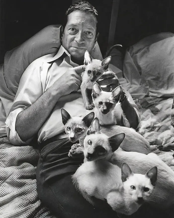 30 Vintage Photos Of Cats Posing With Famous People And Interesting Personalities (New Pics)