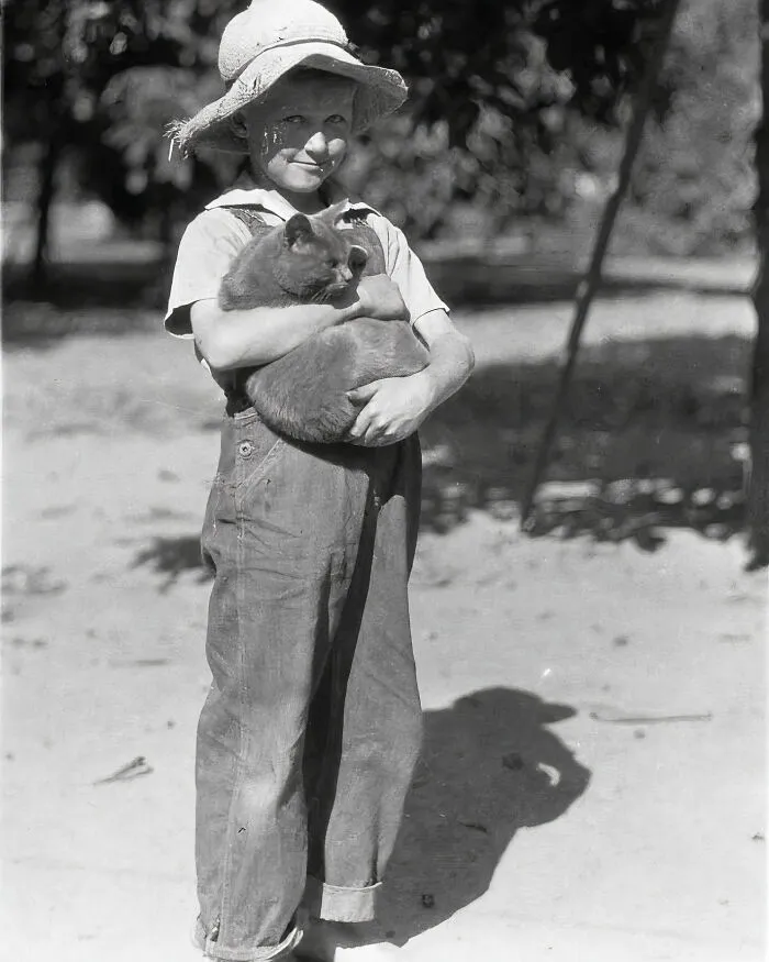 30 Vintage Photos Of Cats Posing With Famous People And Interesting Personalities (New Pics)