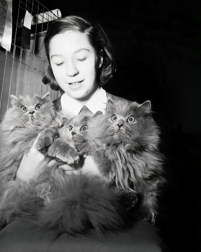 30 Vintage Photos Of Cats Posing With Famous People And Interesting Personalities (New Pics)