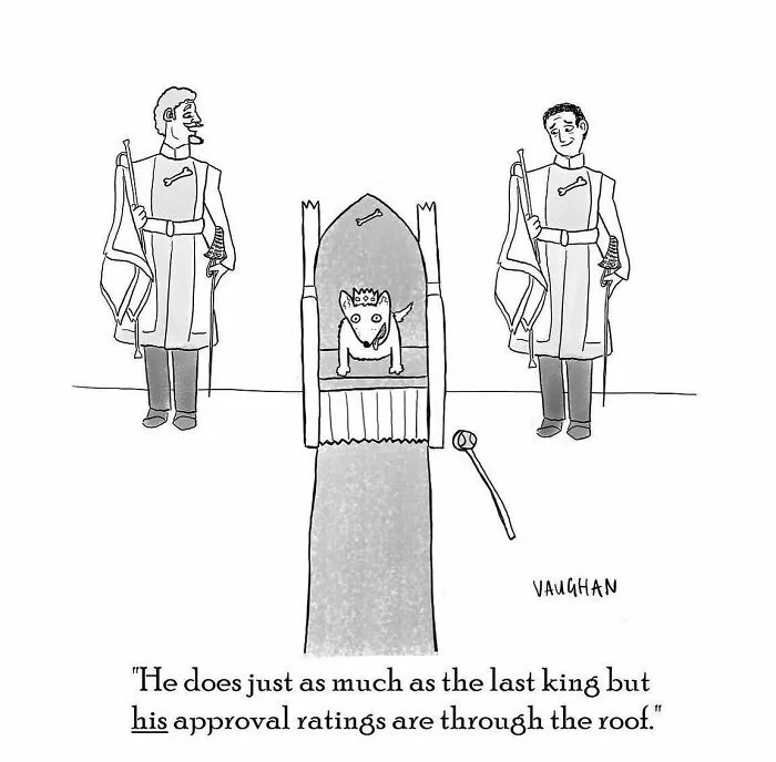 50 Single-Panel Comics That Are Humorous And Silly By Vaughan Tomlinson