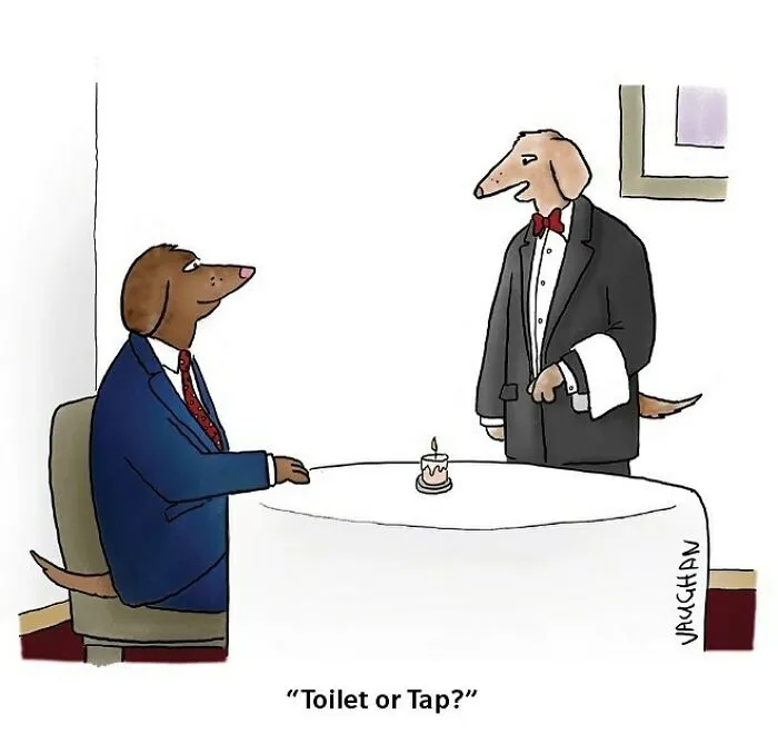50 Single-Panel Comics That Are Humorous And Silly By Vaughan Tomlinson