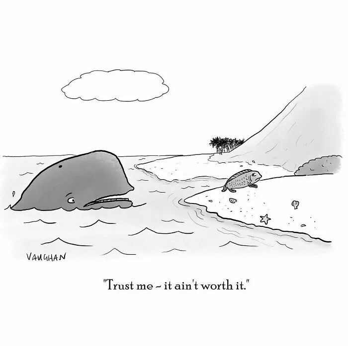 50 Single-Panel Comics That Are Humorous And Silly By Vaughan Tomlinson