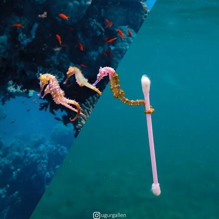 30 Combined Photos By This Digital Artist That Remind Us Of The Two Different Worlds That People Live In