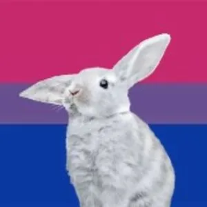 Danger Bunny (She/Her)