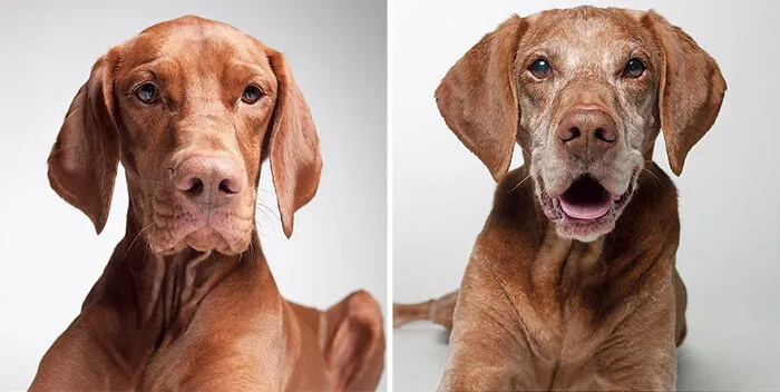Ruby - 2007 And 2016