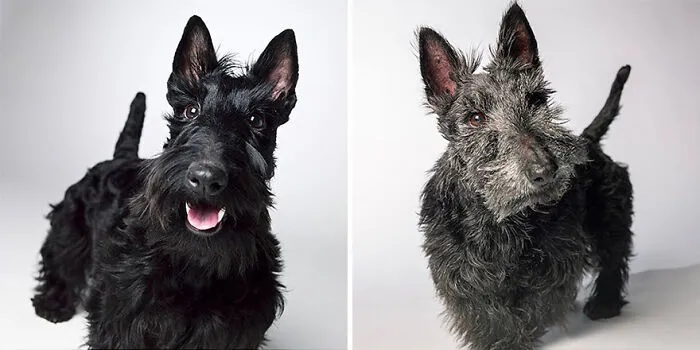 Katy Koo - 2012 And 2022