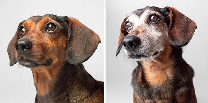Max - 2011 And 2021