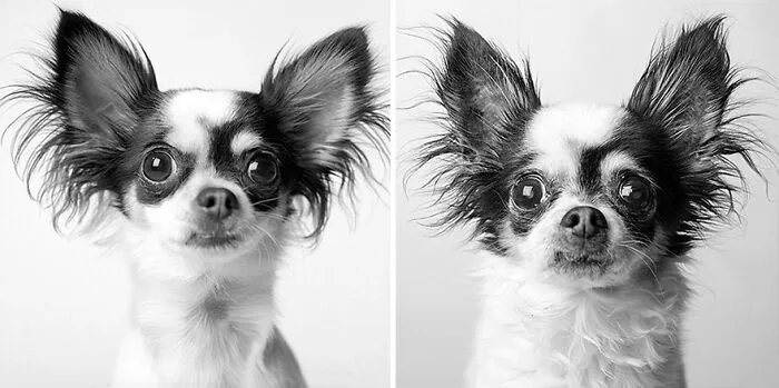 Lola - 2005 And 2019