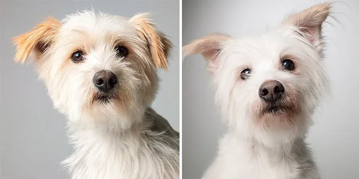 Nora - 2006 And 2017