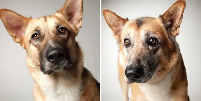 Loki - 2009 And 2021