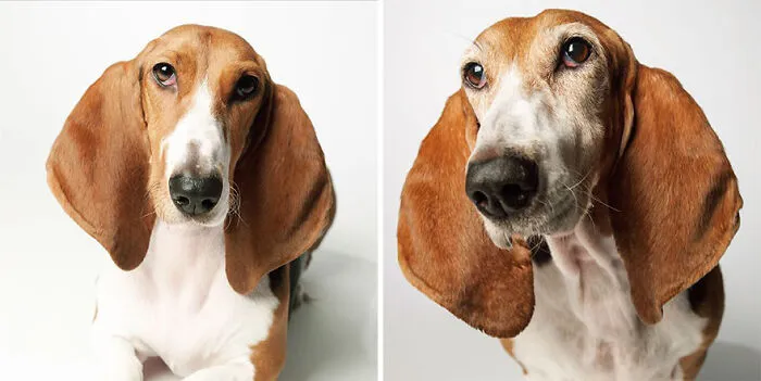 Sophie - 2008 And 2016