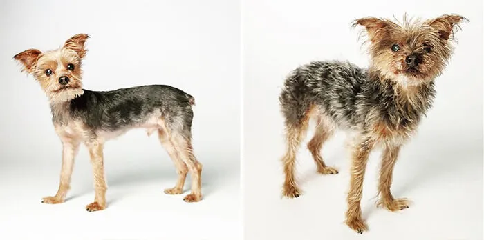 Skye - 2006 And 2015