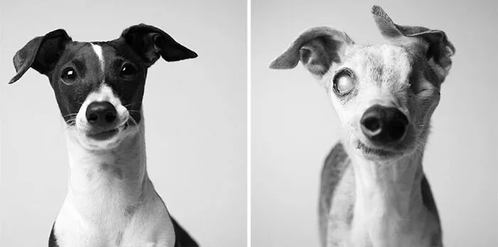 Cosmo - 2006 And 2019