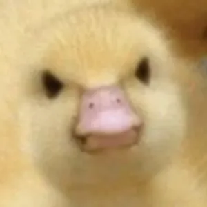 Duckyboo