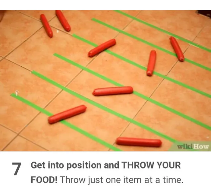 Sausage Fight?