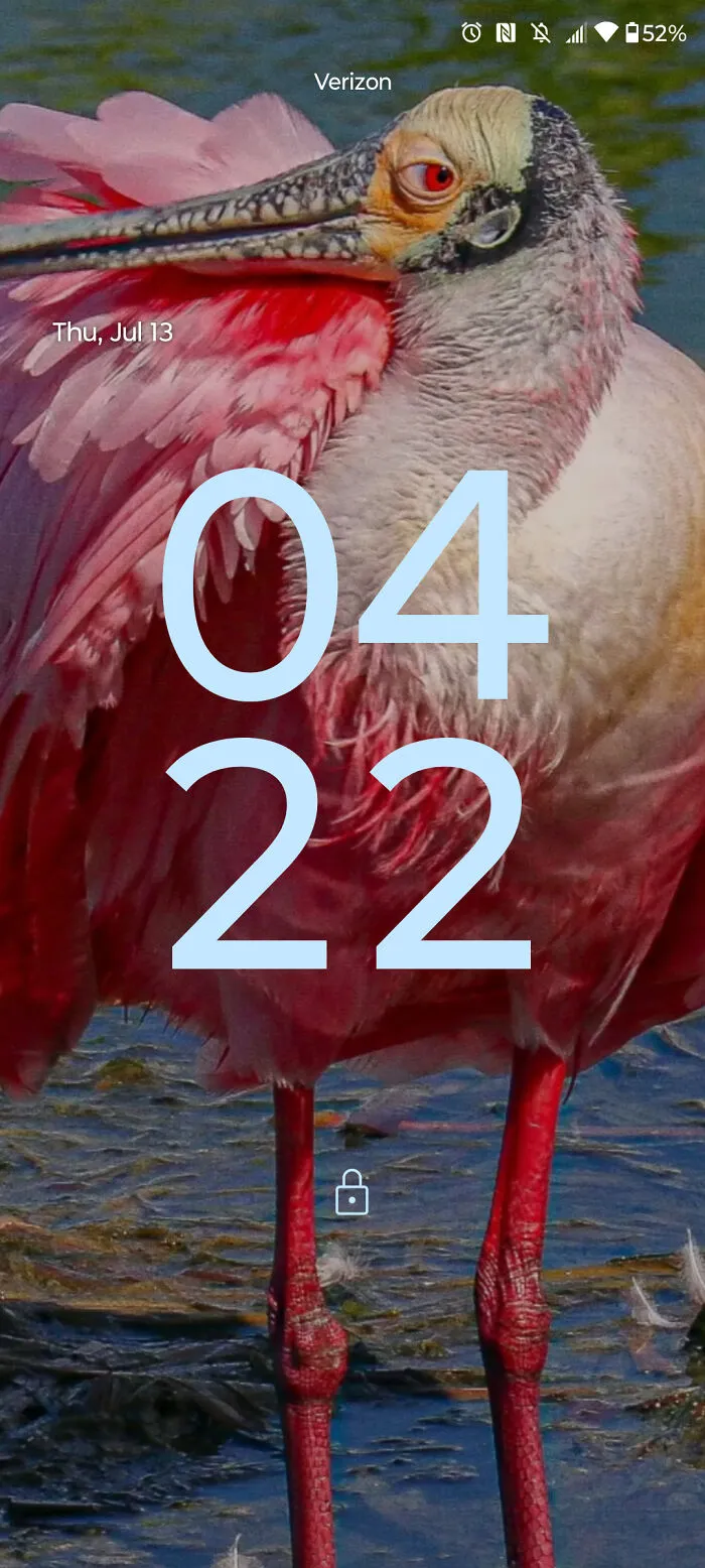 Sexy Bird