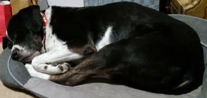 He Holds His Feet While He's Sleeping
