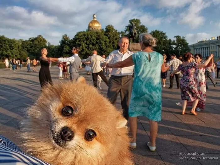 Saint Petersburg Photographer Documents The Bizarre Contrasts Of Russian Life (70 New Pics)