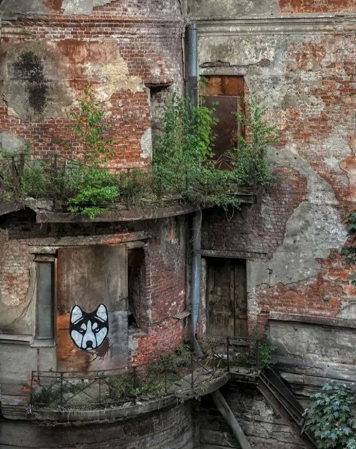 Saint Petersburg Photographer Documents The Bizarre Contrasts Of Russian Life (70 New Pics)