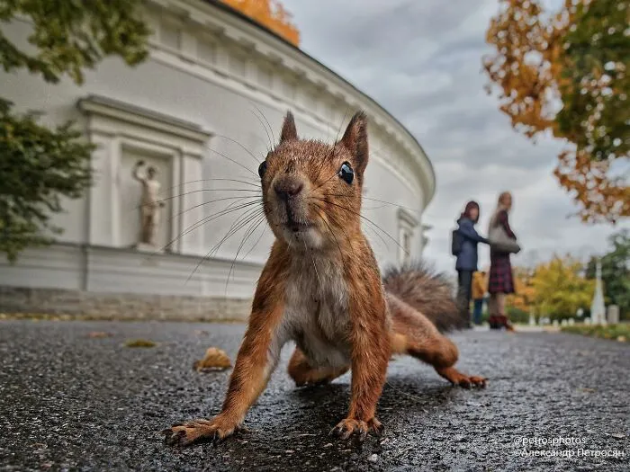 Saint Petersburg Photographer Documents The Bizarre Contrasts Of Russian Life (70 New Pics)