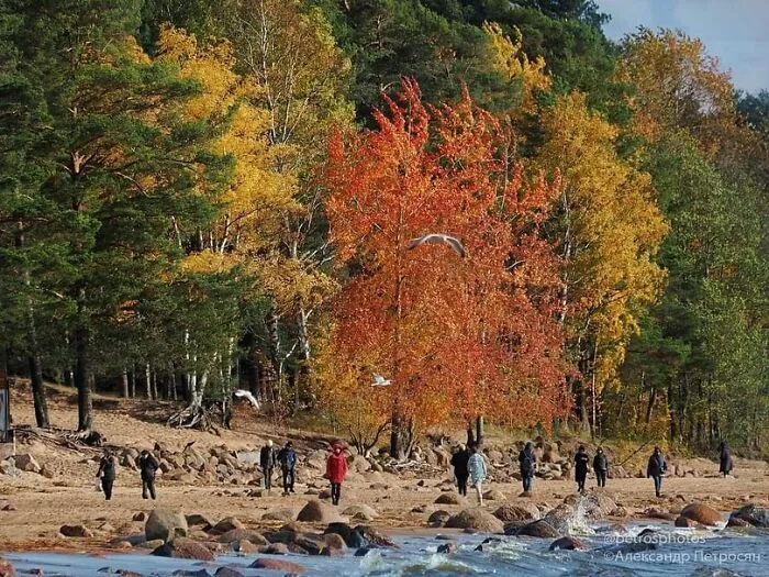 Saint Petersburg Photographer Documents The Bizarre Contrasts Of Russian Life (70 New Pics)