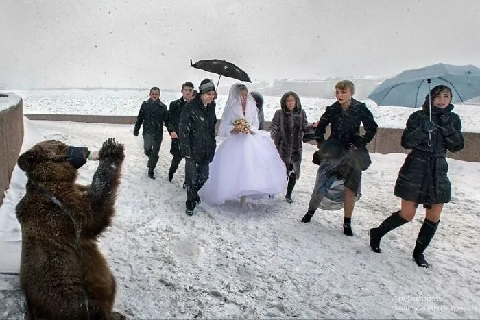 Saint Petersburg Photographer Documents The Bizarre Contrasts Of Russian Life (70 New Pics)
