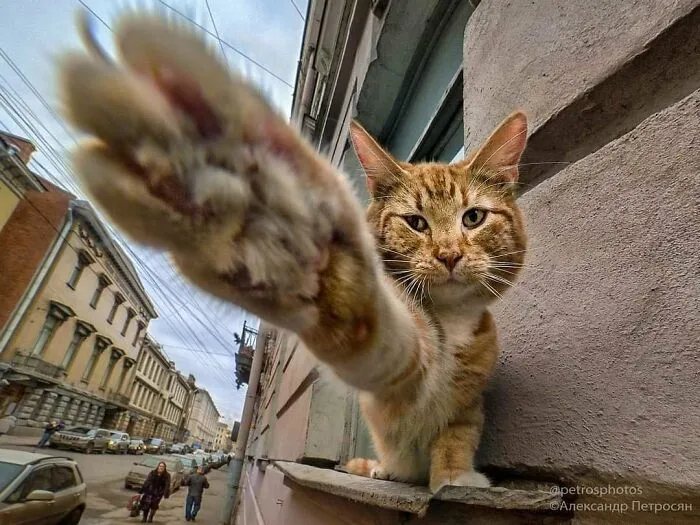 Saint Petersburg Photographer Documents The Bizarre Contrasts Of Russian Life (70 New Pics)