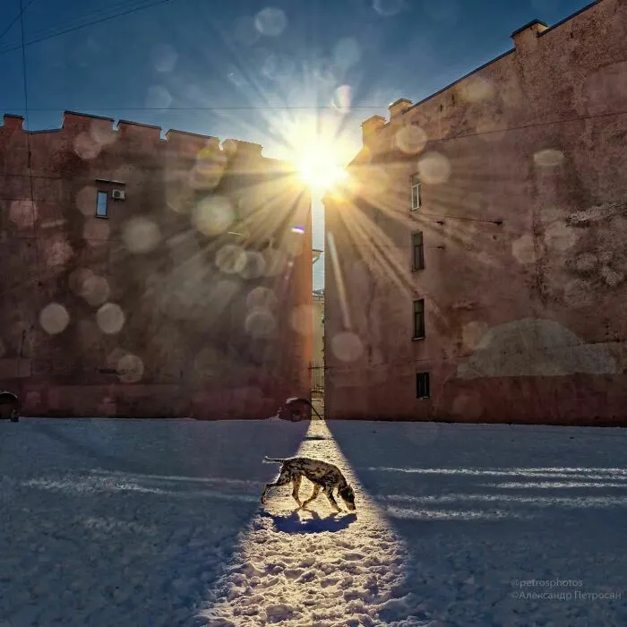 Saint Petersburg Photographer Documents The Bizarre Contrasts Of Russian Life (70 New Pics)