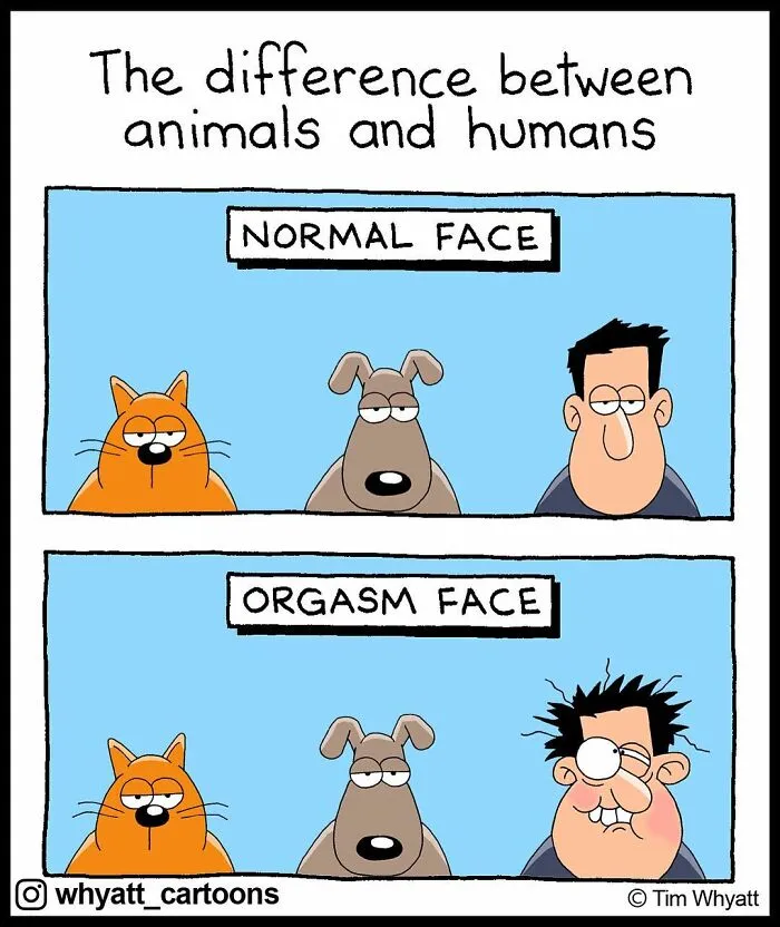 45 Humorous One-Panel Comics To Take A Break From The Everyday Hustle And Bustle
