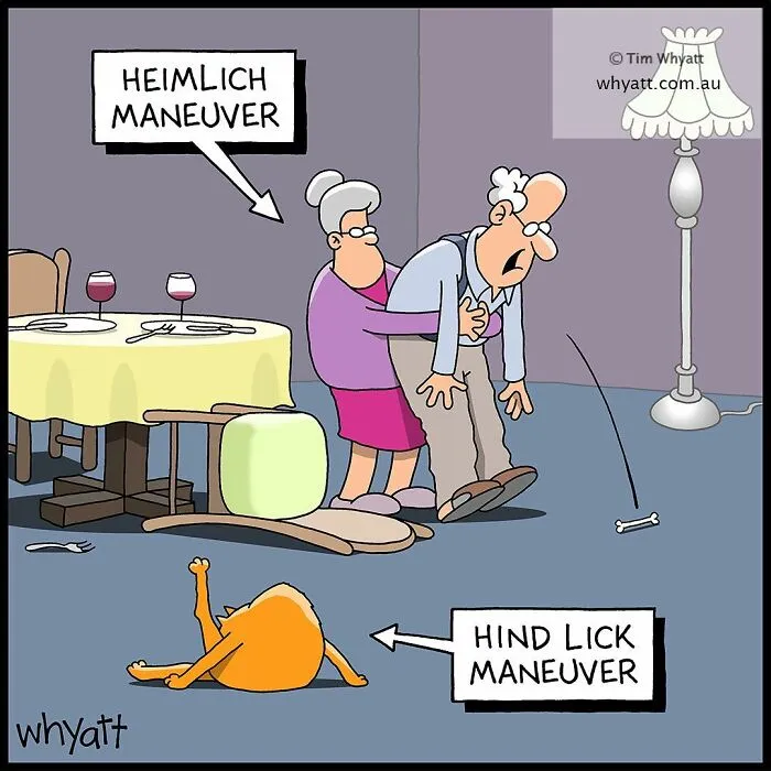 45 Humorous One-Panel Comics To Take A Break From The Everyday Hustle And Bustle