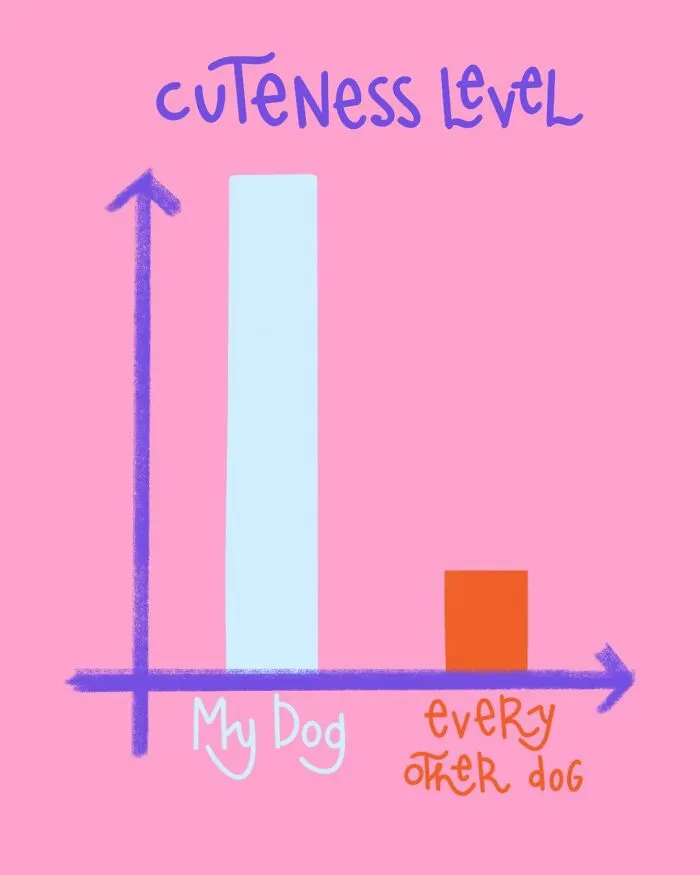Cute Dogs