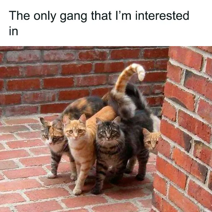 50 Wholesome Memes As Shared By This Twitter Page To Brighten Up Your Day (New Pics)