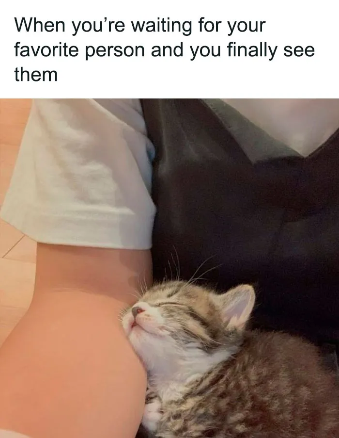 50 Wholesome Memes As Shared By This Twitter Page To Brighten Up Your Day (New Pics)