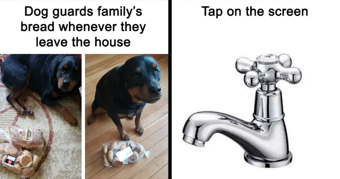 50 Wholesome Memes As Shared By This Twitter Page To Brighten Up Your Day (New Pics)