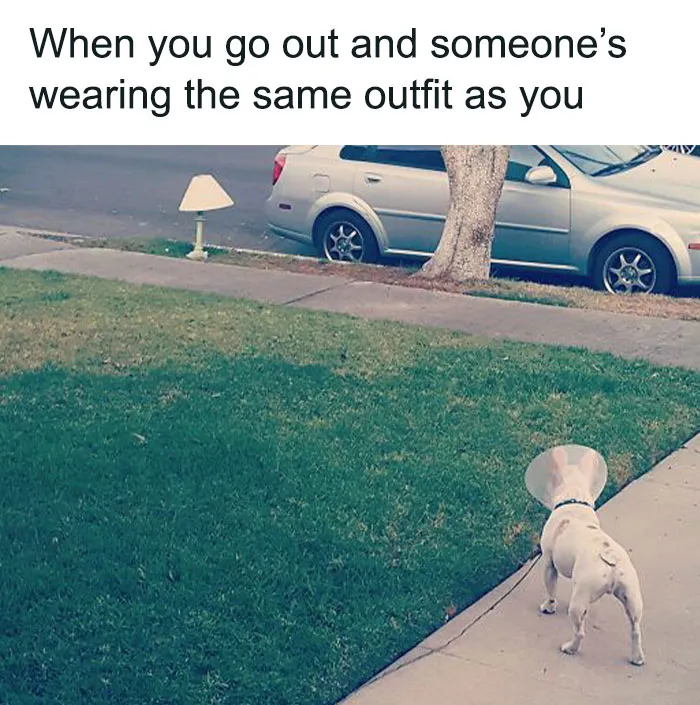 50 Wholesome Memes As Shared By This Twitter Page To Brighten Up Your Day (New Pics)