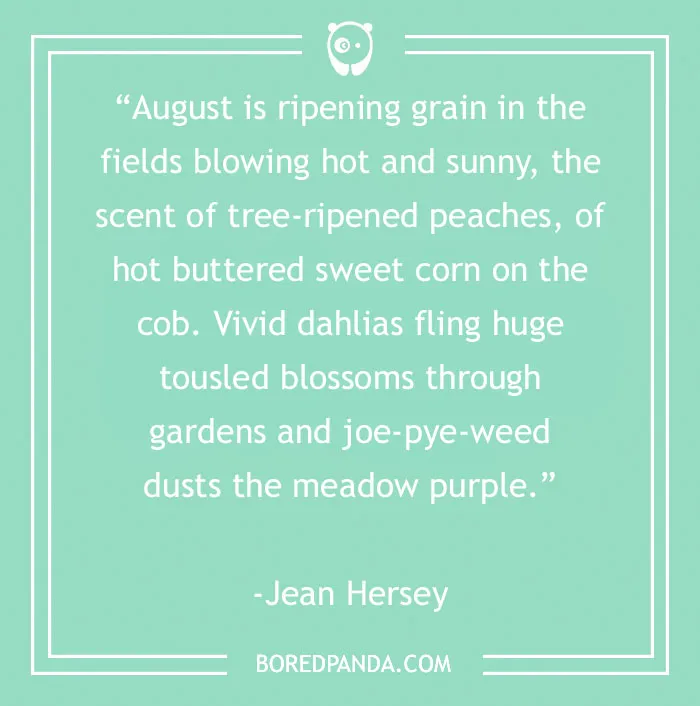 46 August Quotes To Welcome The Sunday of Summer