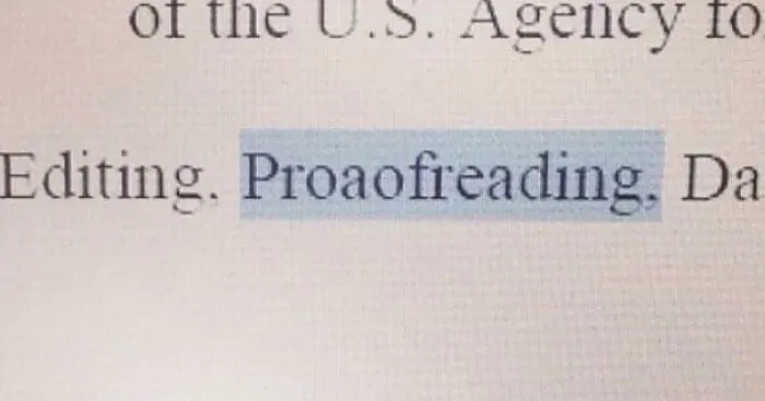 This Resume Was Almost Perfect Until