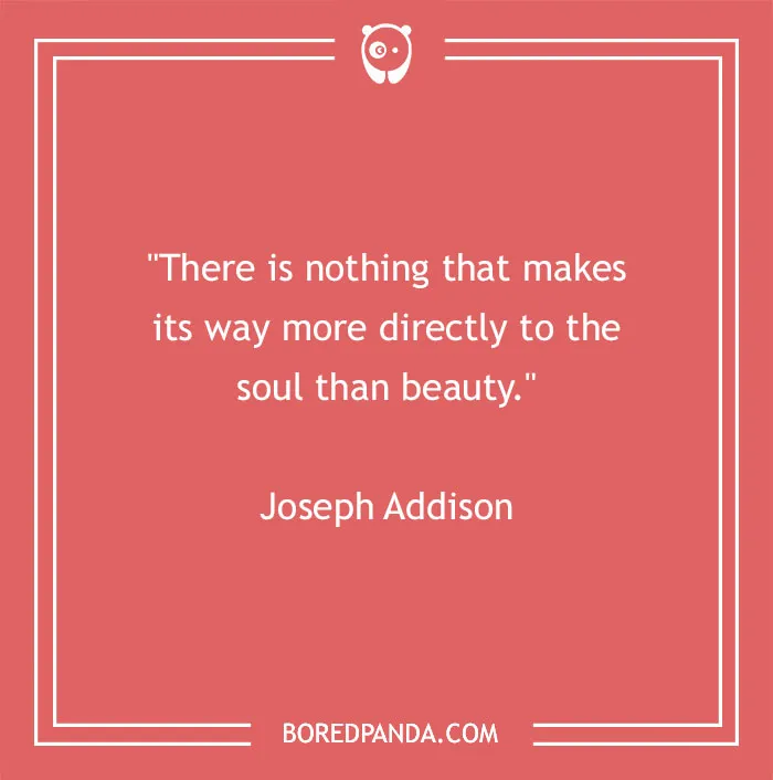 Beauty quote by Joseph Addison on a red background, inspiring love and connection to the soul.