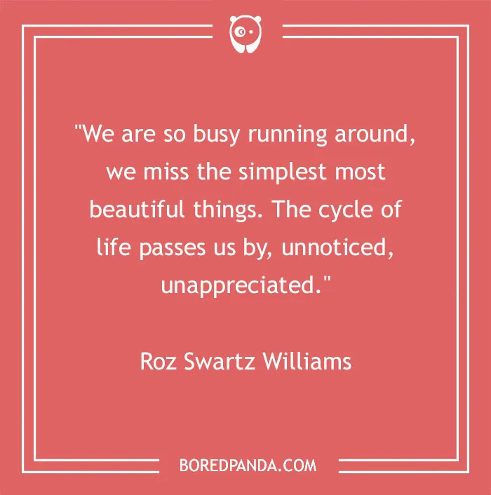 Quote on appreciating beauty by Roz Swartz Williams on a red background.