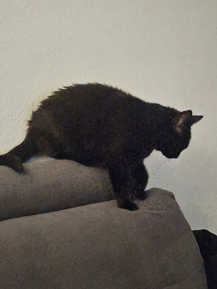 My Old Man Likes To Sit Like This