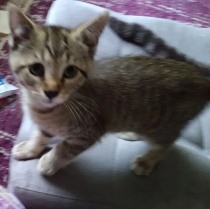 I (And Bouche) Are Working On Raising Audi