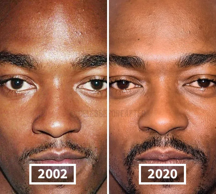 Anthony Mackie