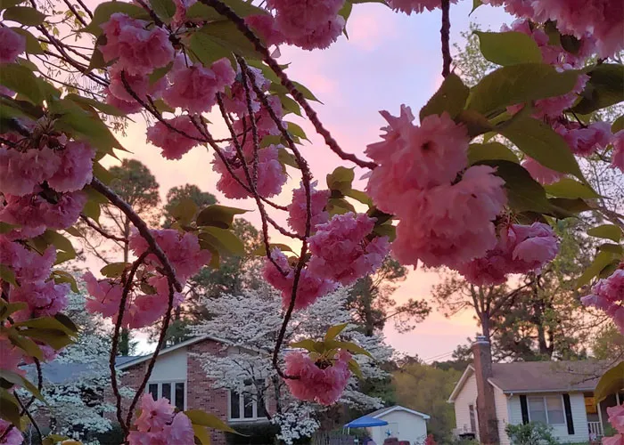 “Electrical Bill Dropped By Half”: People Share 35 Home Upgrades That Were Worth Every Penny