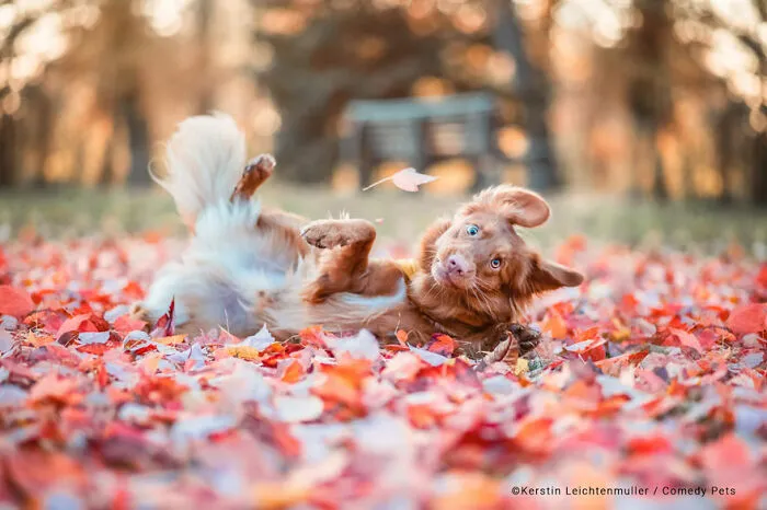 'My Face When My Crush Says Hi' By Kerstin Leichtenmüller