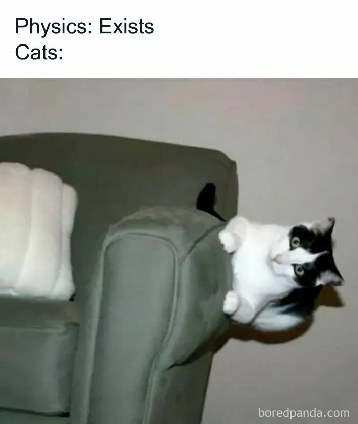 ?