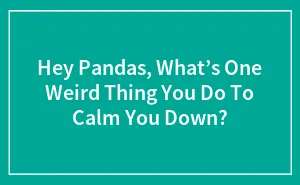 Hey Pandas, What’s One Weird Thing You Do To Calm You Down? (Closed)