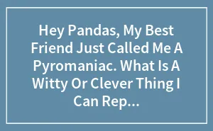 Hey Pandas, My Best Friend Just Called Me A Pyromaniac. What Is A Witty Or Clever Thing I Can Reply With?